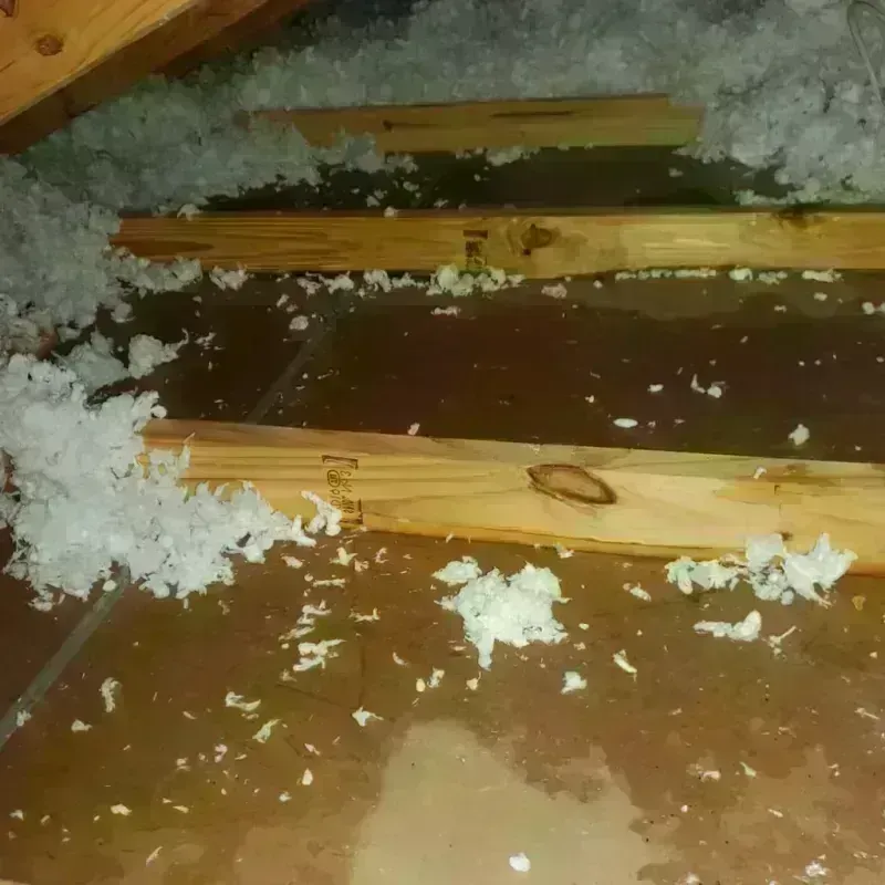 Attic Water Damage in Clackamas, OR