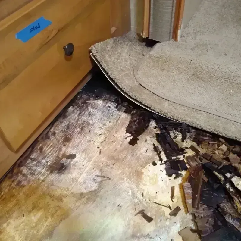 Wood Floor Water Damage in Clackamas, OR